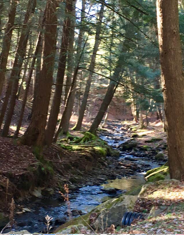 Camper submitted image from Gilbert Lake State Park Campground - 5