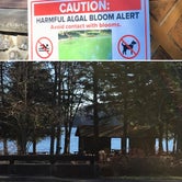 Review photo of Gilbert Lake State Park Campground by Janet R., November 24, 2017