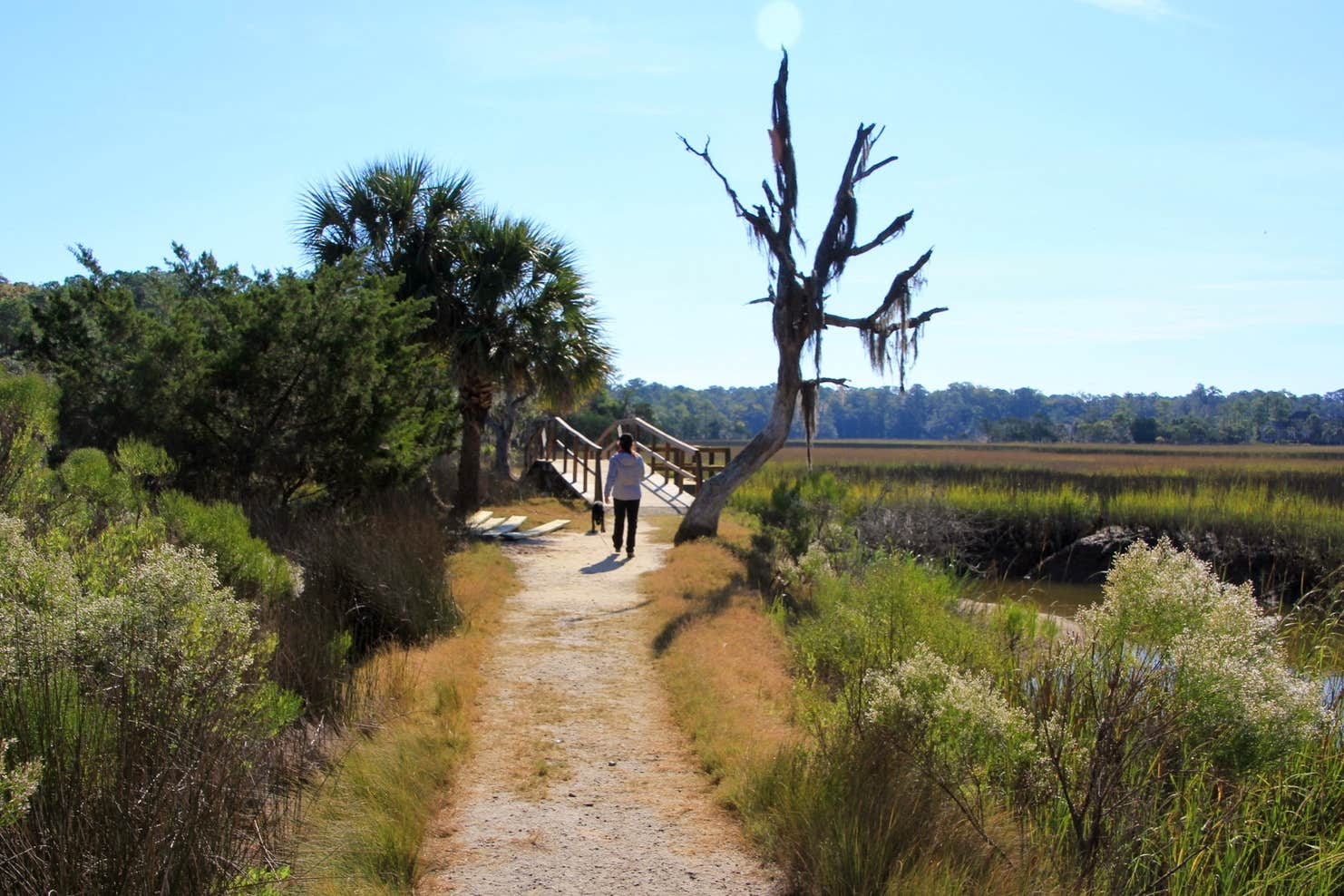 Skidaway Island State Park Camping The Dyrt