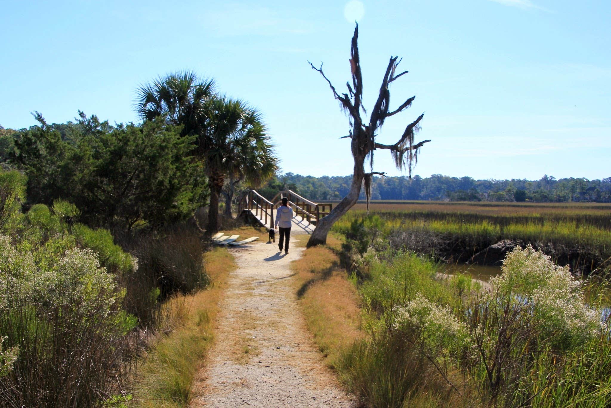 Camper submitted image from Skidaway Island State Park Campground - 3