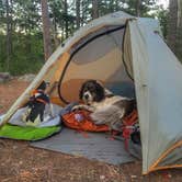 Review photo of Saranac Lake Islands Adirondack Preserve by Mele T., November 26, 2017