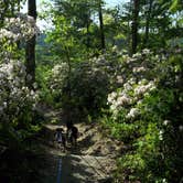 Review photo of Bandy Creek Campground — Big South Fork National River and Recreation Area by Shelly S., July 1, 2016