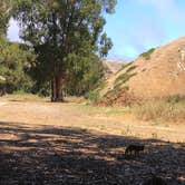 Review photo of Santa Cruz Island Scorpion Canyon Campground — Channel Islands National Park by Janet R., November 25, 2017