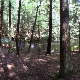 Trail alongside Ludlow Creek