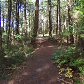 Review photo of Ludlow Creek Lean-To Campsite by Janet R., November 6, 2017