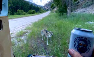Elizabeth R.'s photo of camping with pets at Tongue Canyon Campground near Dayton, WY