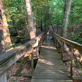 Review photo of Tuckahoe State Park Campground by Wendy W., July 4, 2020