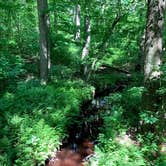 Review photo of Tuckahoe State Park by Wendy W., July 4, 2020