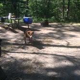 Review photo of Shelley Lake Campground by Ryan M., July 4, 2020