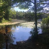 Review photo of Shelley Lake Campground by Ryan M., July 4, 2020