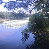 Review photo of Shelley Lake Campground by Ryan M., July 4, 2020