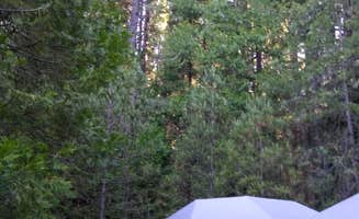 Heather W.'s photo at Pipi Campground near Pine Grove, CA