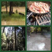 Review photo of Pipi Campground by Heather W., July 4, 2020