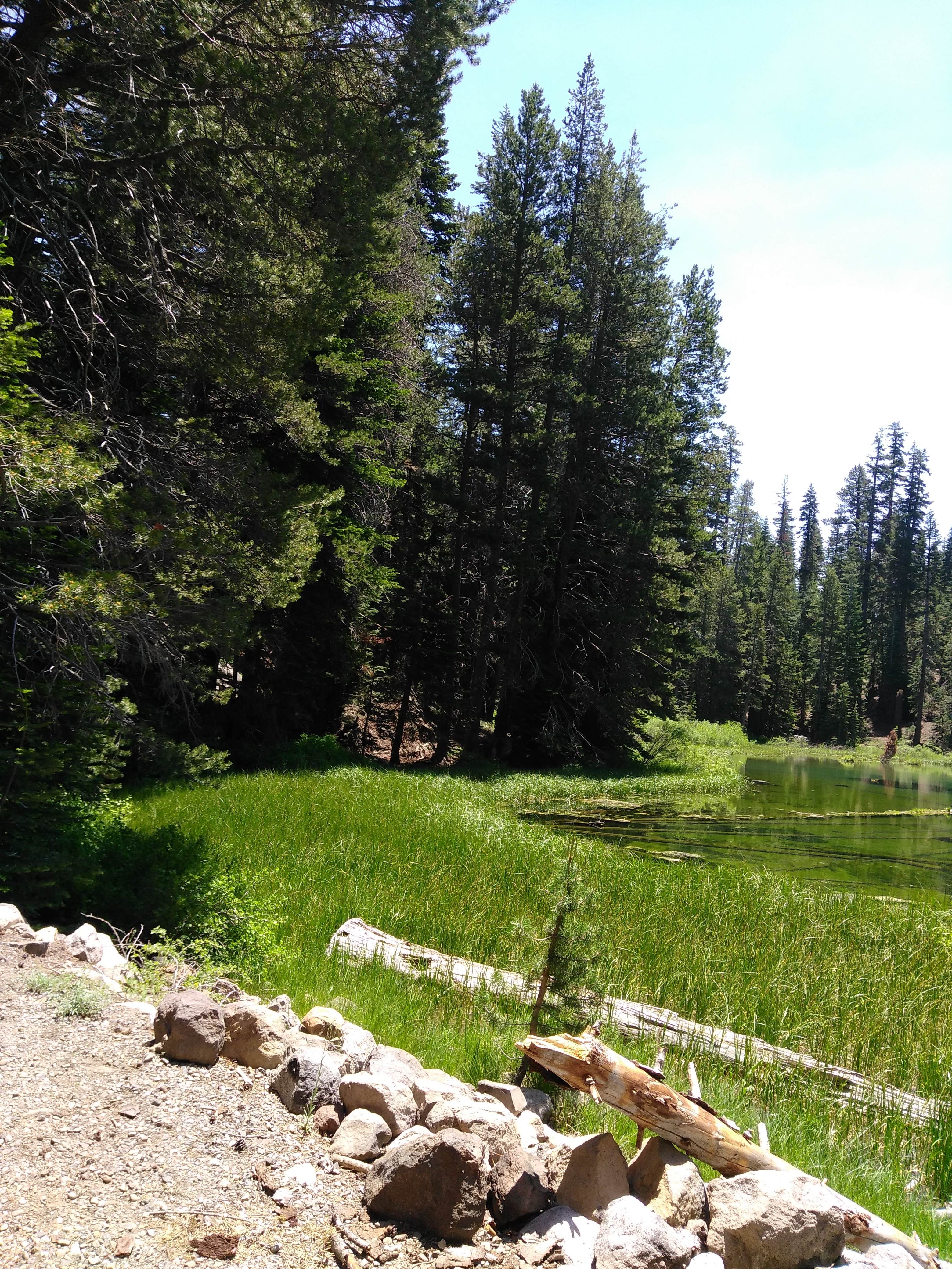 Camping near Grant Lake Marina: Silver Lake Resort, June Lake, California