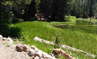 Camping near Reversed Creek Campground: Silver Lake Resort, June Lake, California