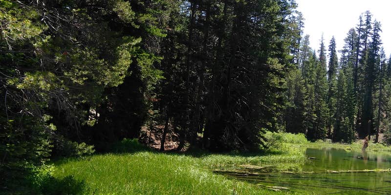 Camper submitted image from Silver Lake Resort