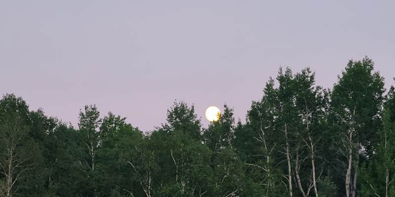 Camper submitted image from Black Lantern Resort