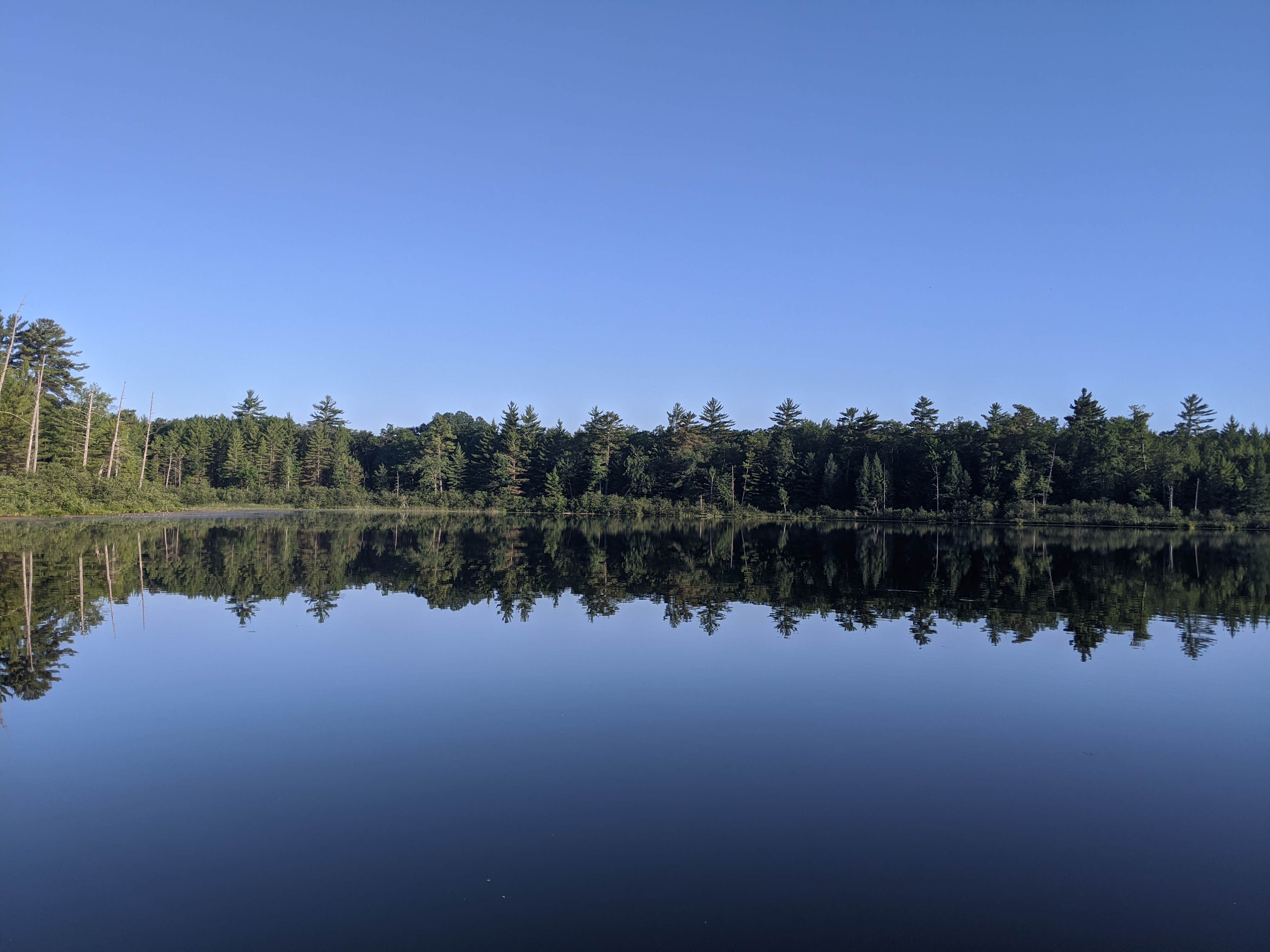 Camper-submitted photo at Leverentz Lake State Forest Campground near Bitely, MI