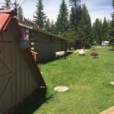 Review photo of Whitefish-Kalispell North KOA by Bjorn S., July 4, 2020