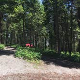 Review photo of Whitefish-Kalispell North KOA by Bjorn S., July 4, 2020