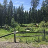 Review photo of Whitefish-Kalispell North KOA by Bjorn S., July 4, 2020