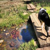 Review photo of Double Springs Campground by Kaysha R., July 4, 2020