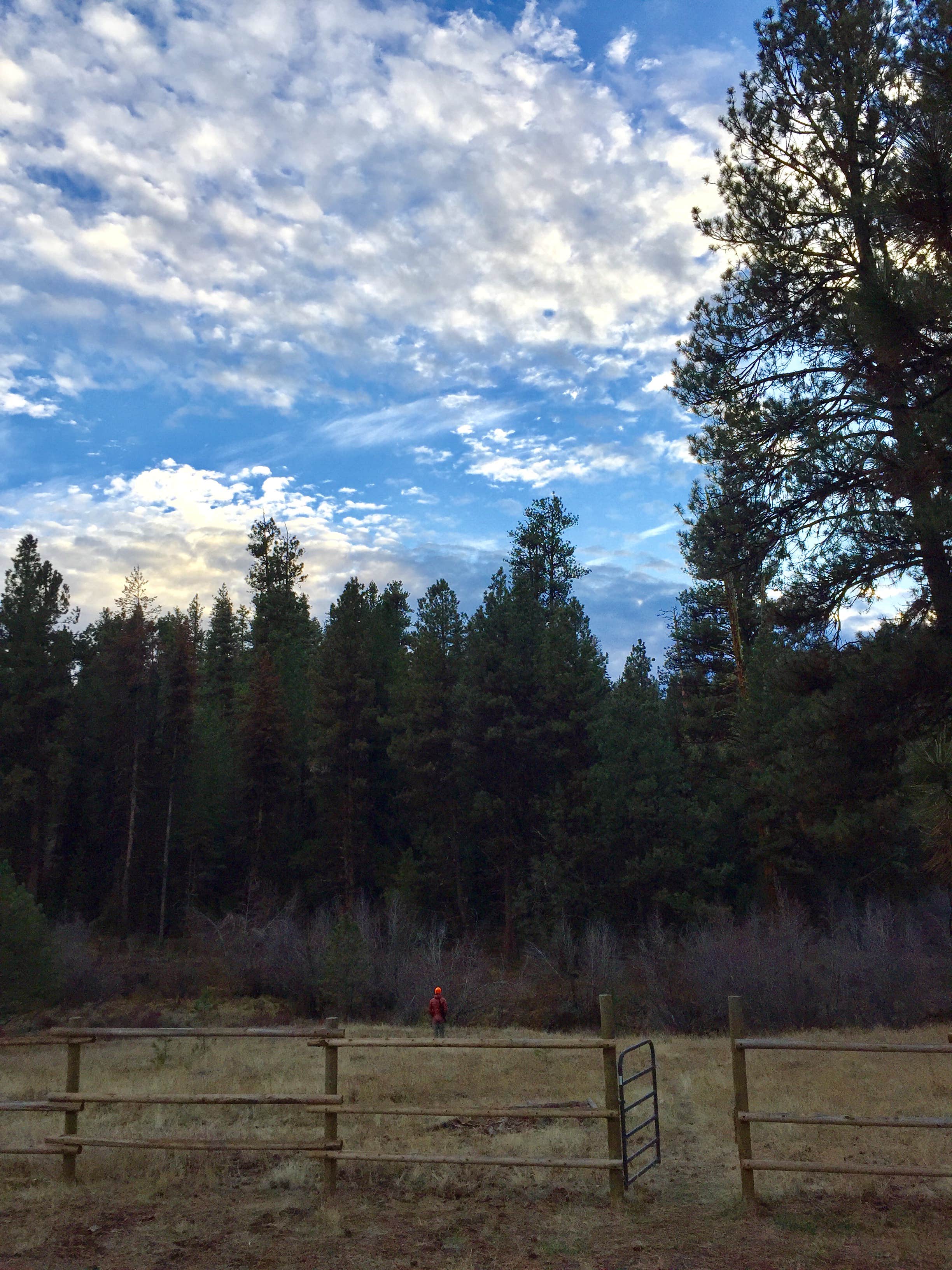 Camper submitted image from Murderers Creek Guard Station - 4