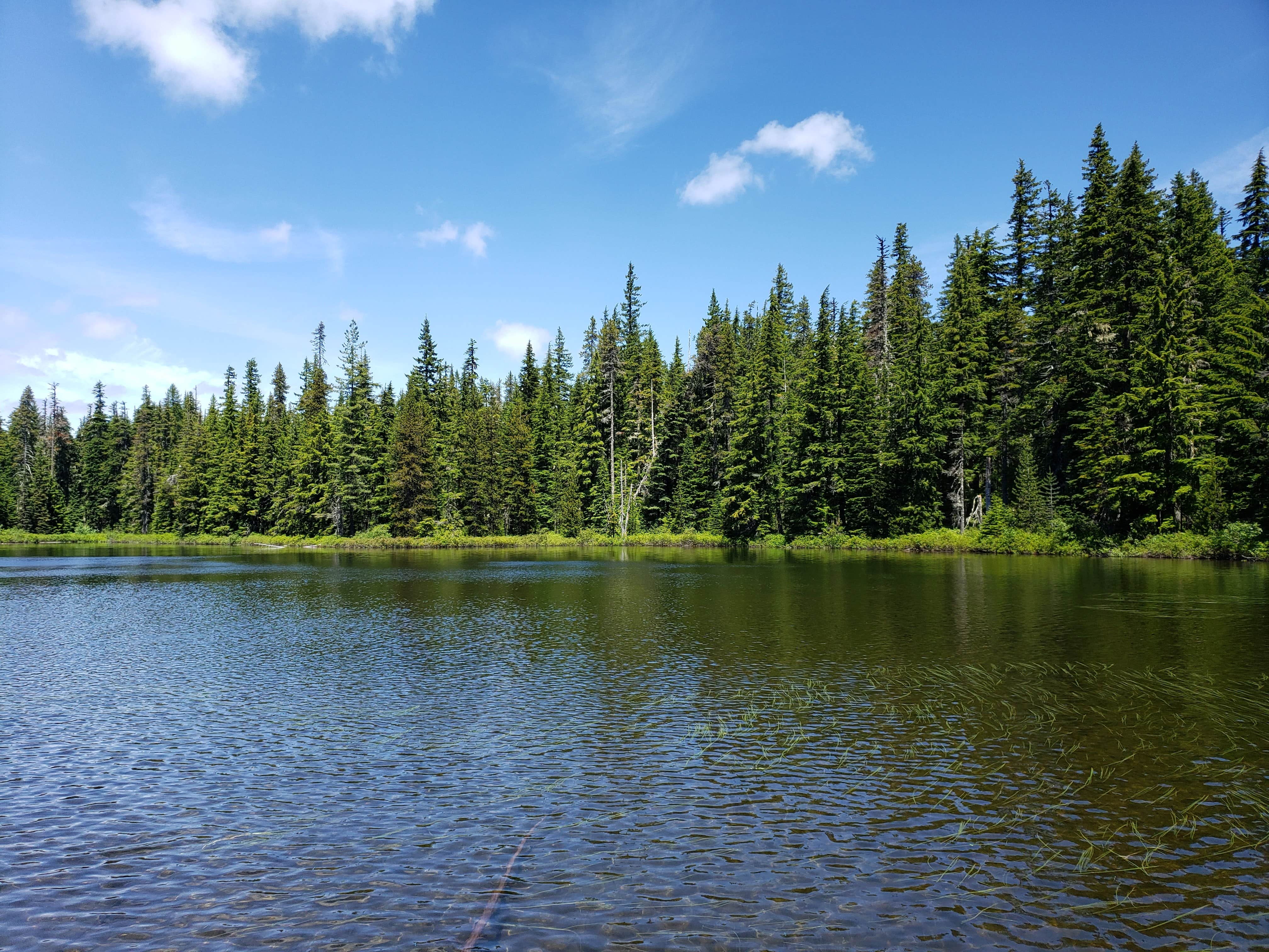 Camper-submitted photo at Forlorn Lakes near White Salmon, WA