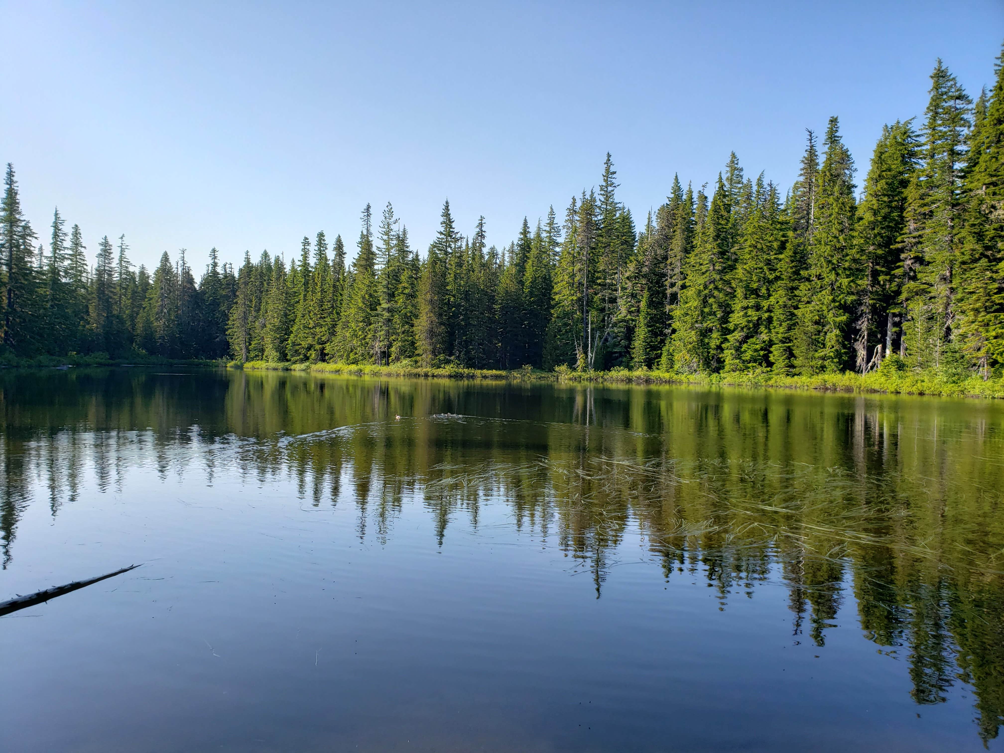 Camper-submitted photo at Forlorn Lakes near White Salmon, WA