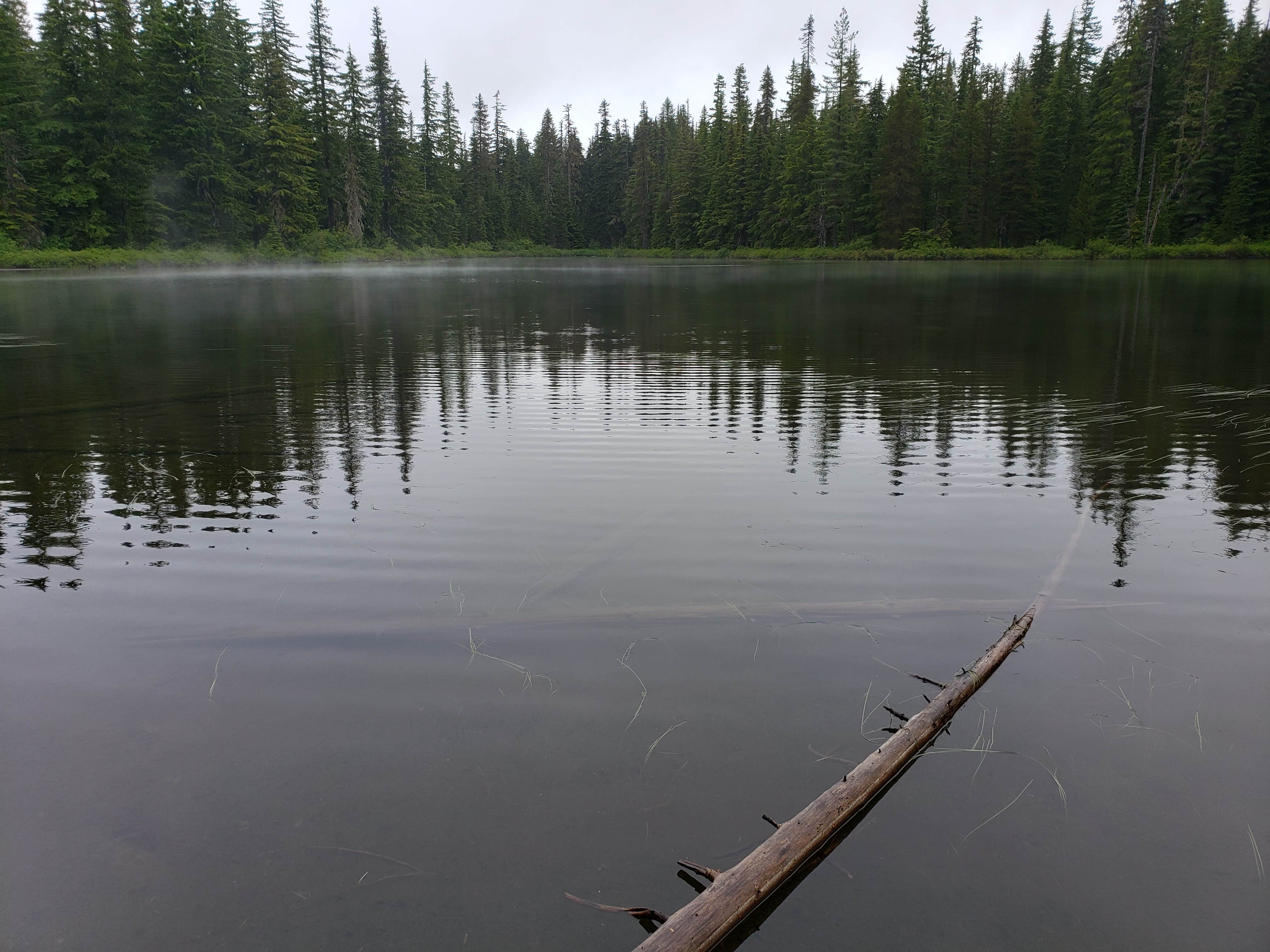 Camper-submitted photo at Forlorn Lakes near White Salmon, WA