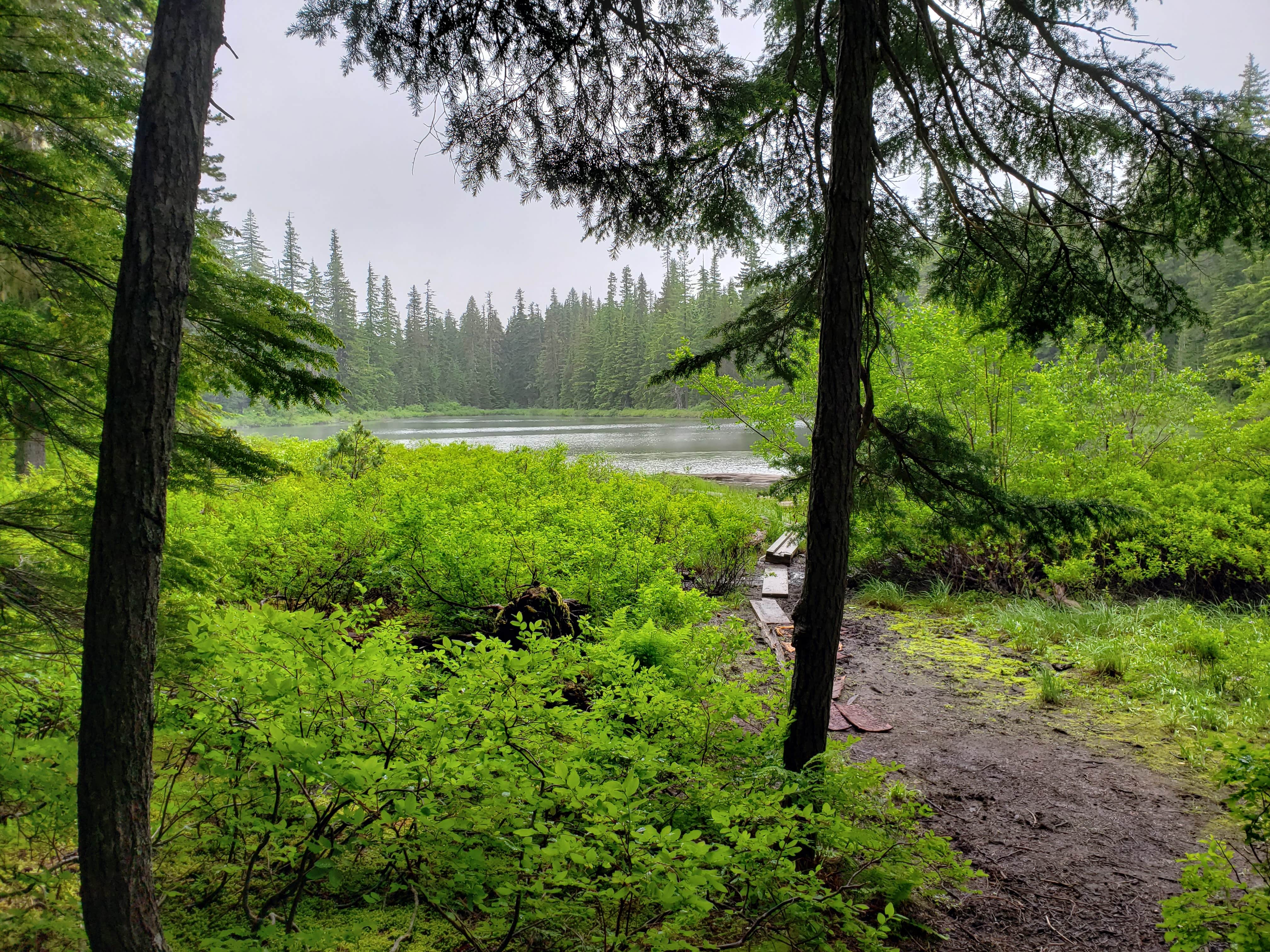 Camper submitted image from Forlorn Lakes - 5