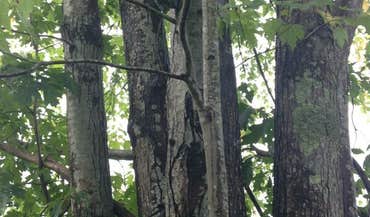 Paintsville Lake State Park photo 3