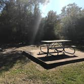 Review photo of Nails Creek Unit — Lake Somerville State Park by Hannah B., November 27, 2017