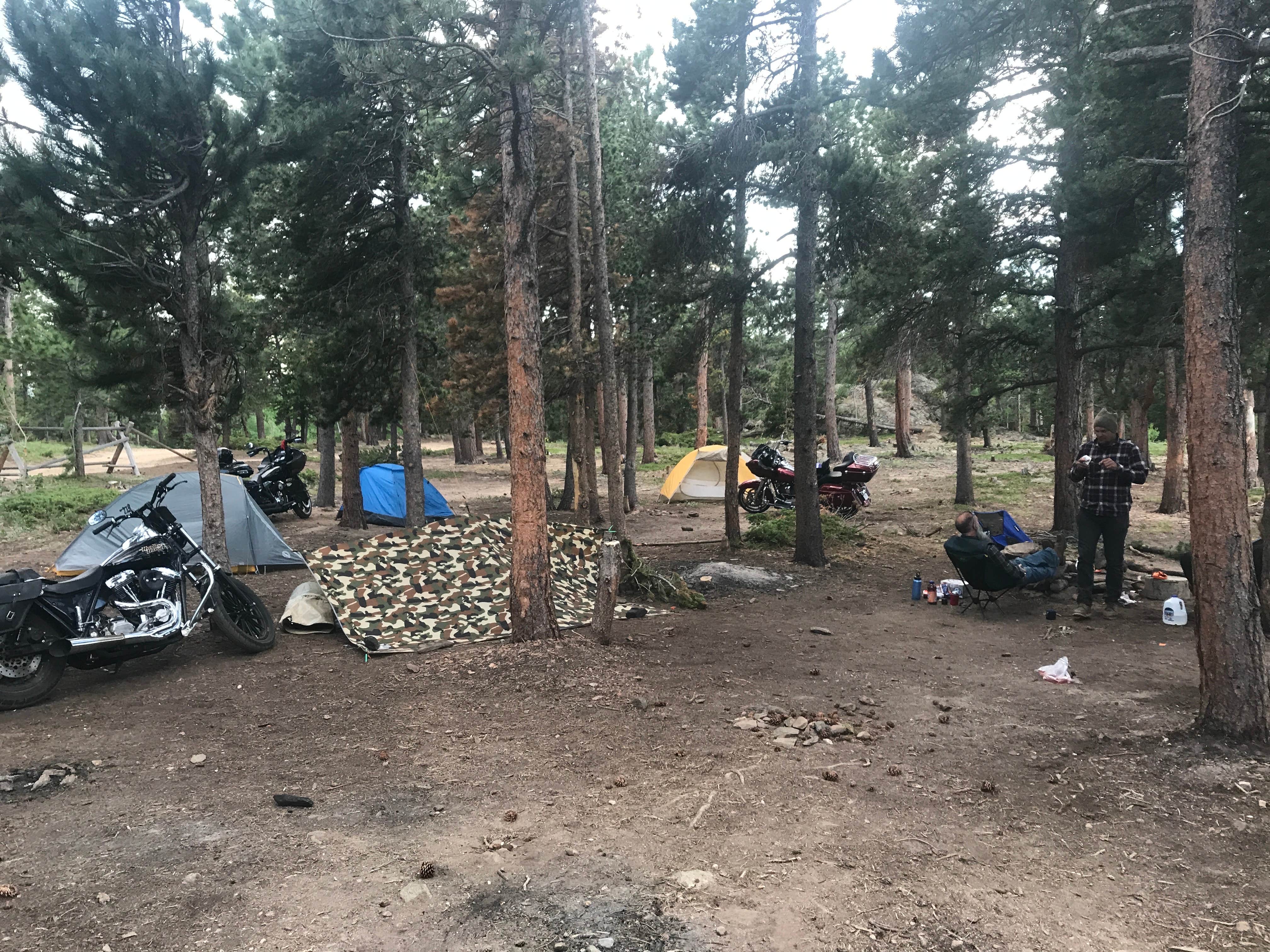 Escape to Montana's Wild Side: Unplug and Explore at Green Gulch Dispersed Camp