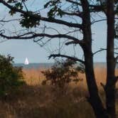 Review photo of Adeline Jay-Geo Karis Illinois Beach State Park by Sebastian G., April 2, 2017