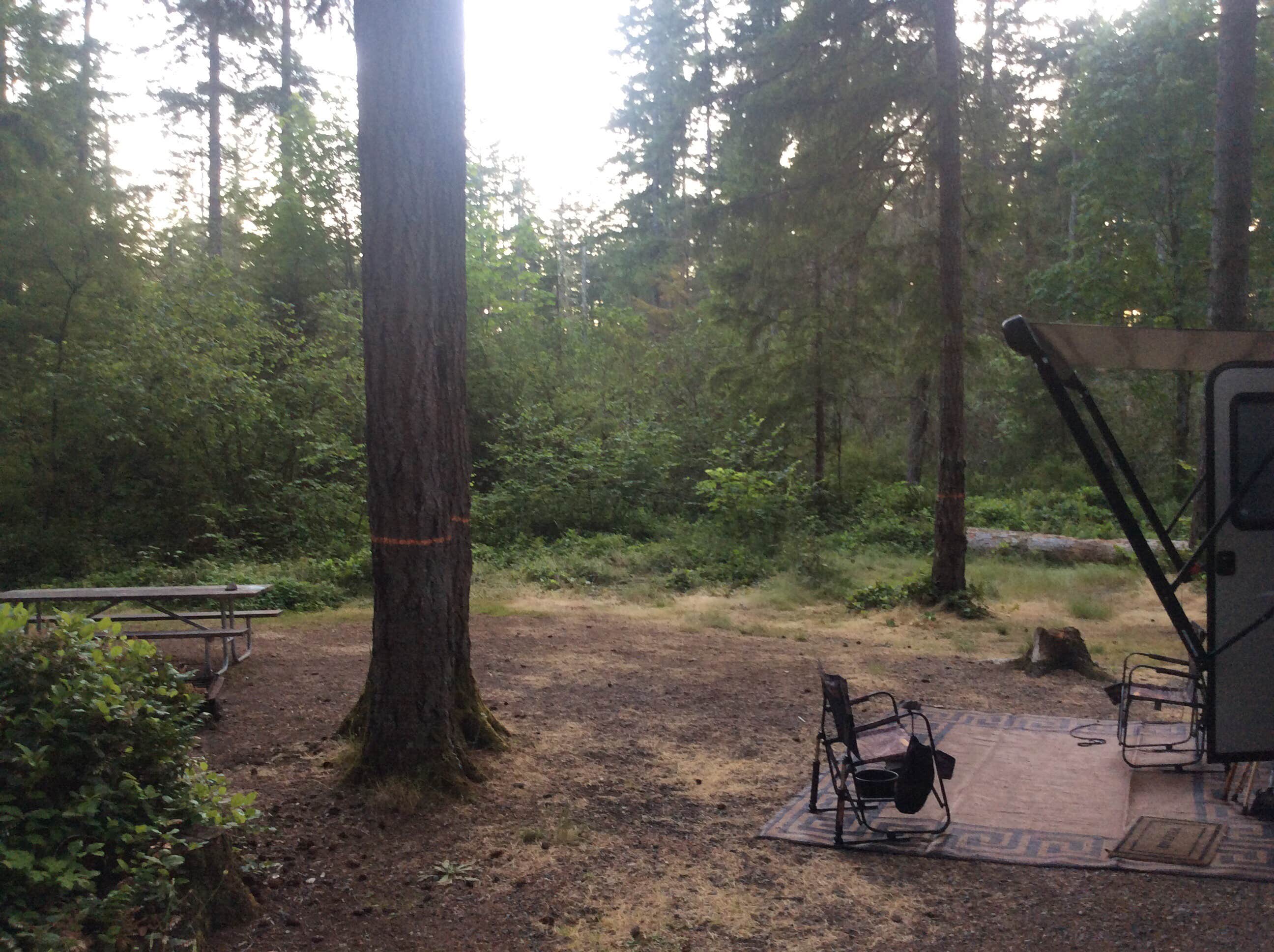 Camper-submitted photo at Margaret McKenny Equestrian Campground near Rochester, WA