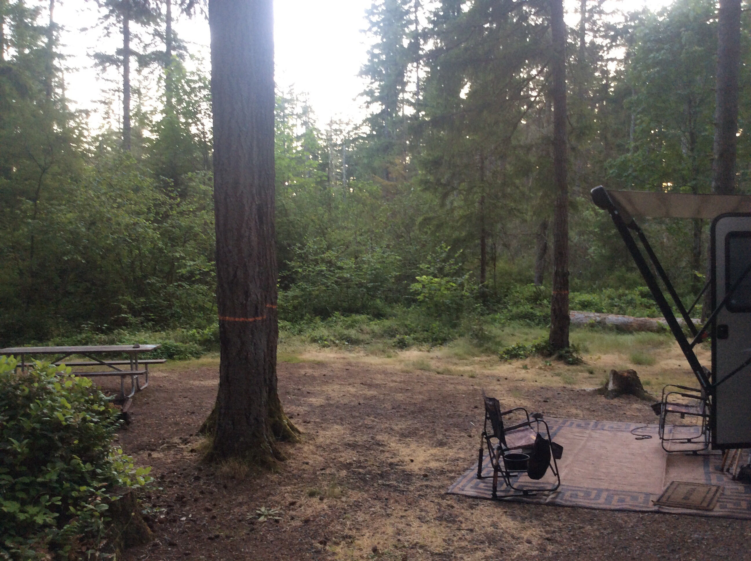 Camper submitted image from Margaret McKenny Equestrian Campground - 2