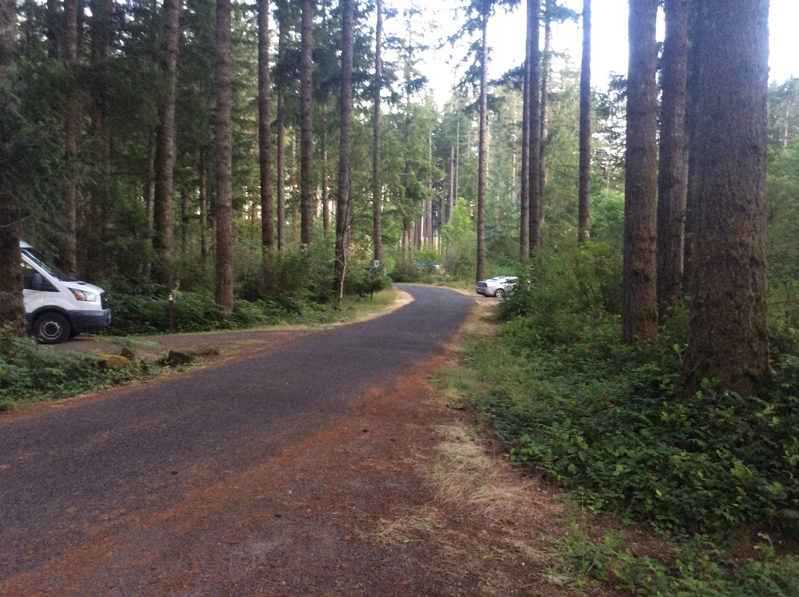 Camper submitted image from Margaret McKenny Equestrian Campground - 1
