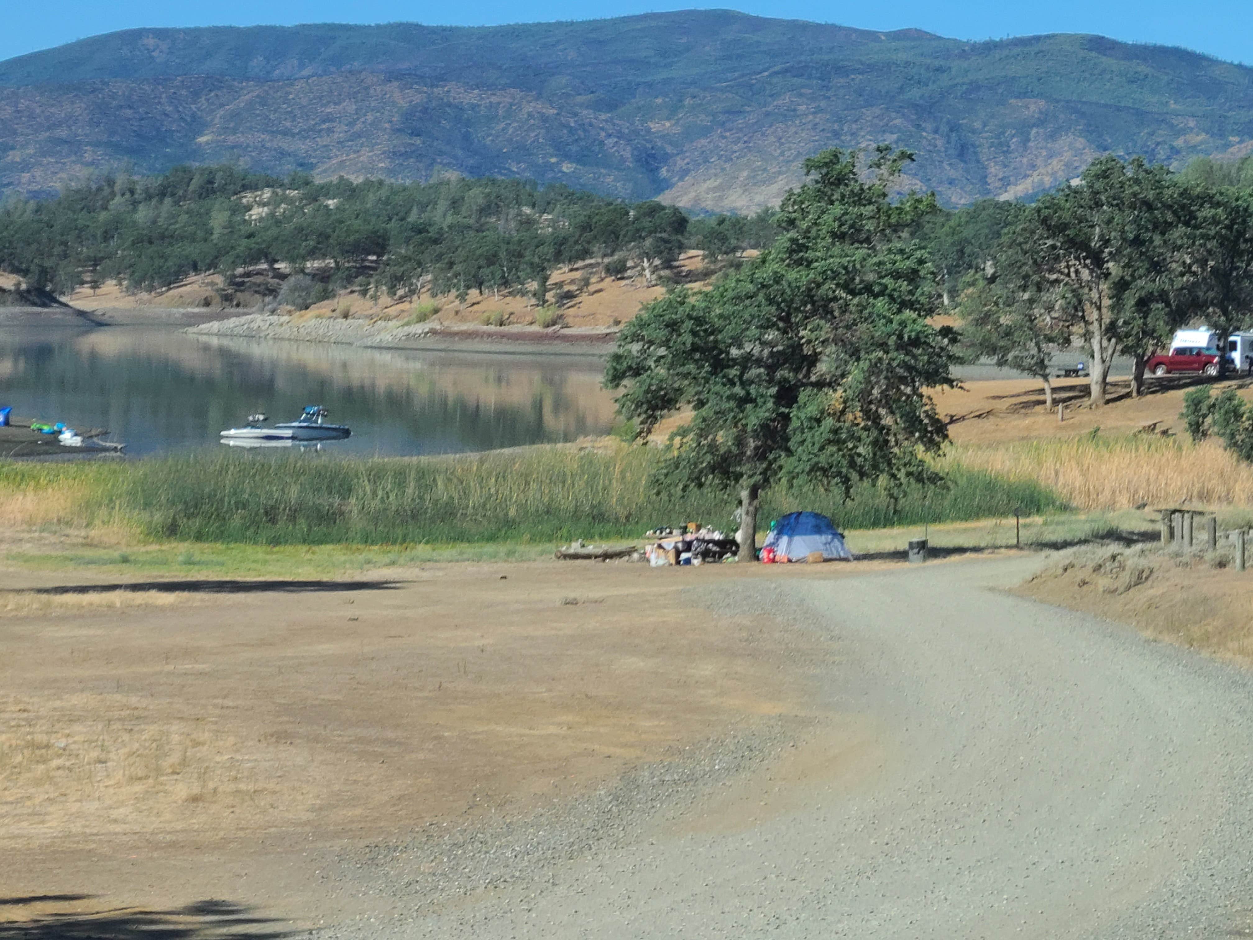 Ann N.'s photo at Stonyford Recreation Area near Stonyford, CA