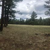 Review photo of Pinegrove Campground by Melissa S., July 5, 2020