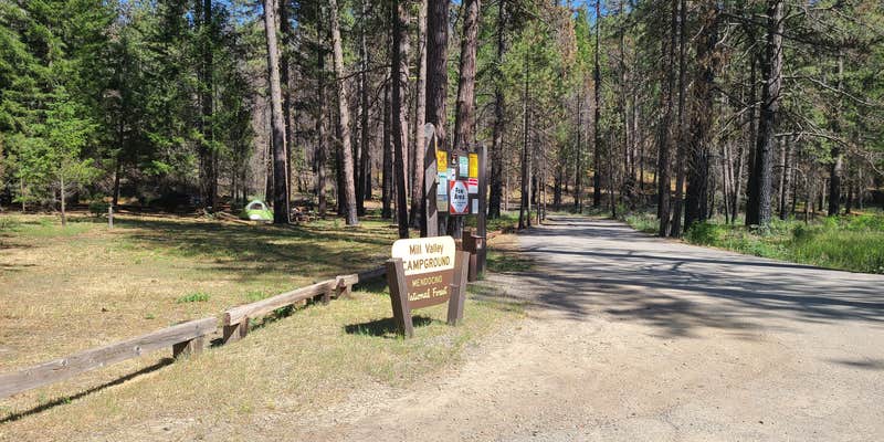 Camper submitted image from Surveyor Campground