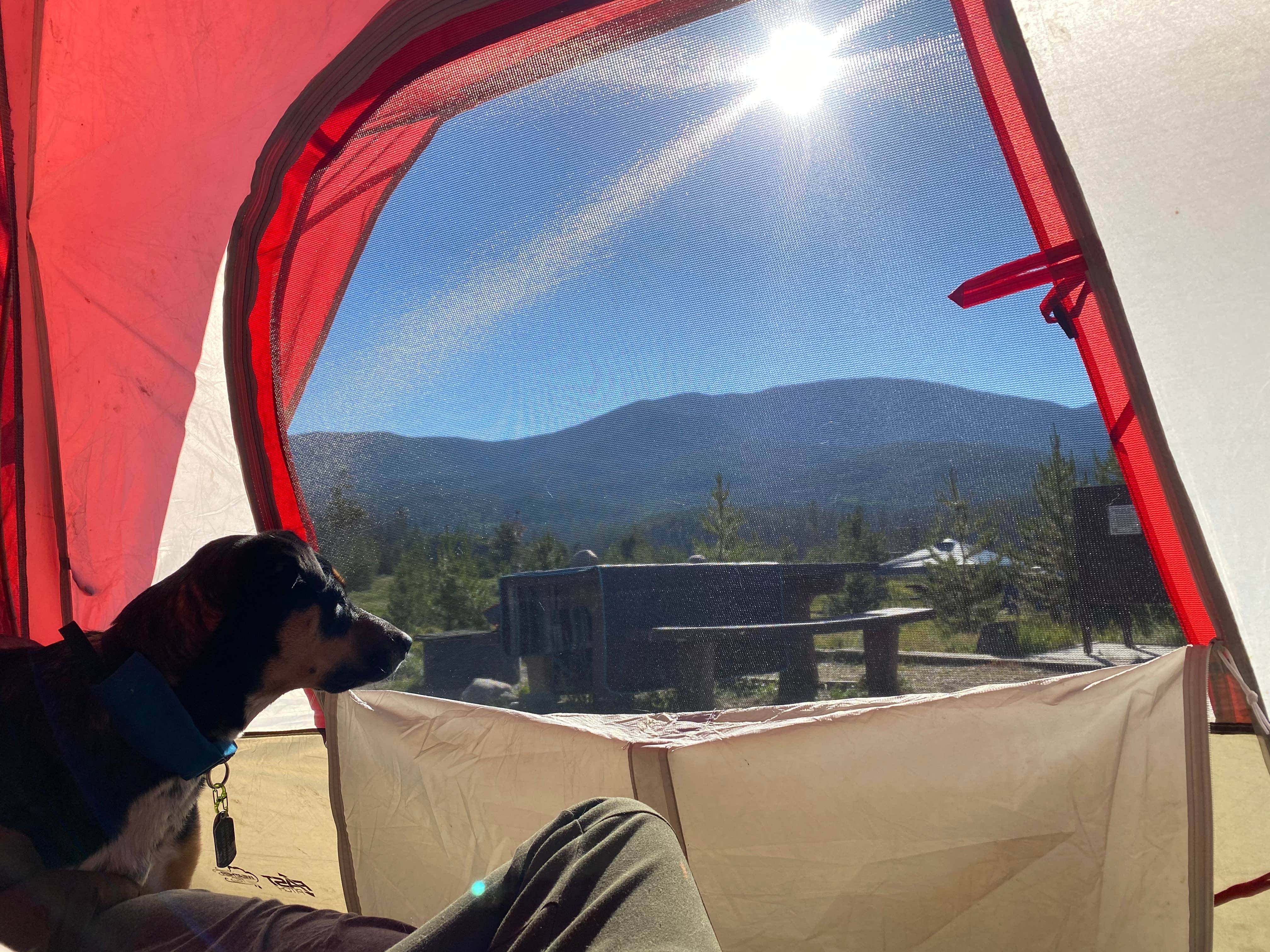 Camper submitted image from Green Ridge Campground - 3