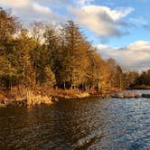 Review photo of Balsam Swamp State Forest by Janet R., November 28, 2017