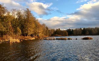 Janet R.'s photo of a dispersed camping area at Balsam Swamp State Forest near Jamesville, NY
