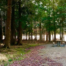 One of the nicer campsites close to the lake