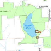 Review photo of Balsam Swamp State Forest by Janet R., November 28, 2017
