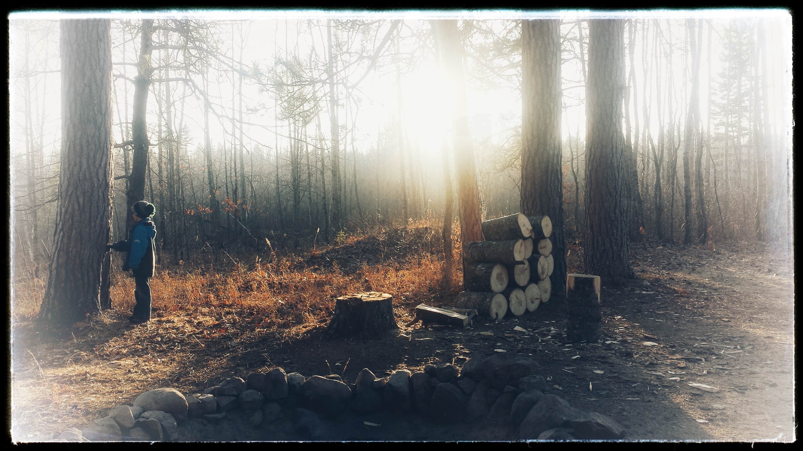 Camper-submitted photo at Gulch Lake near Cass Lake, MN