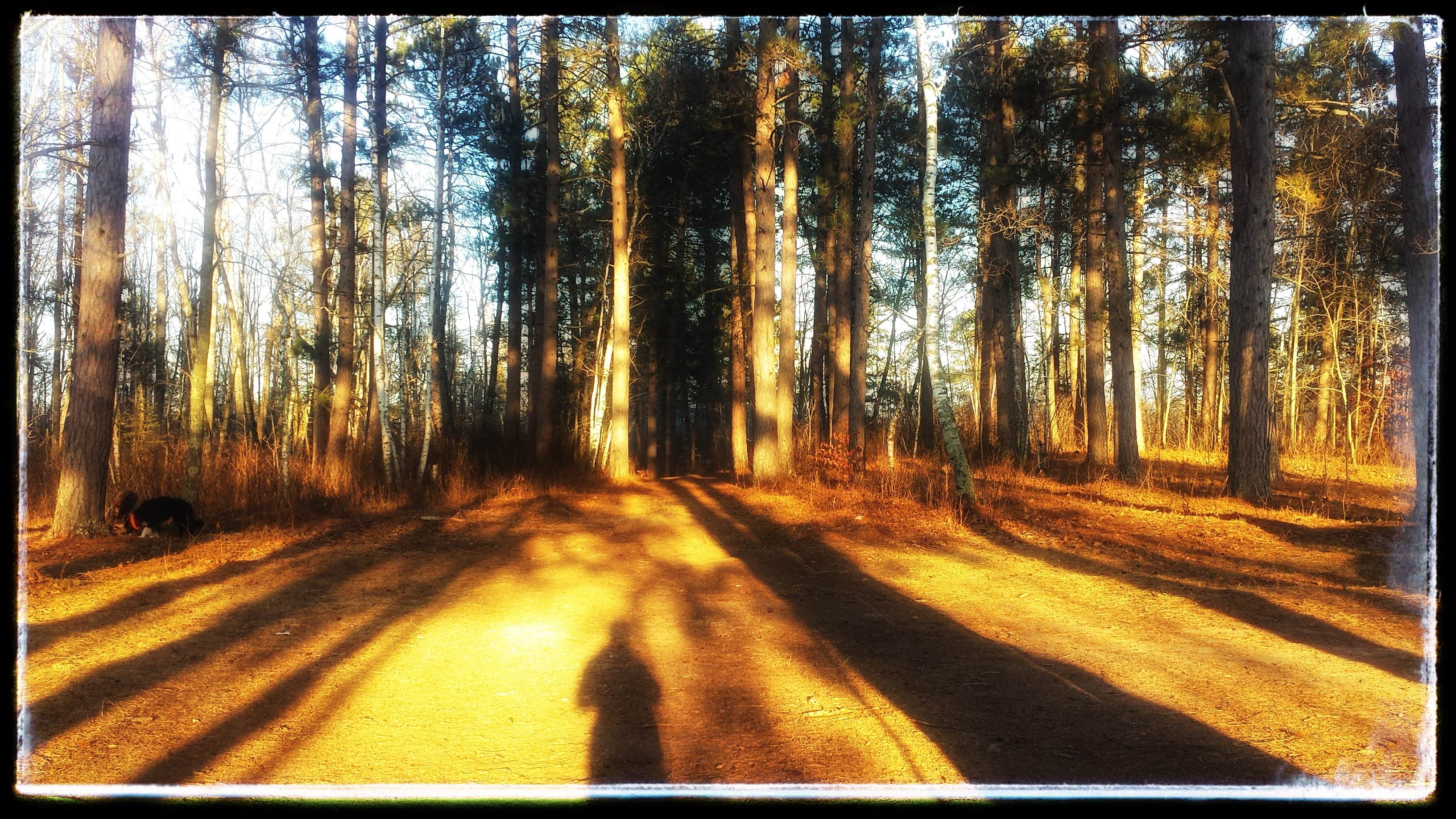 Camper submitted image from Gulch Lake - 4
