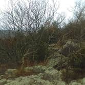 Review photo of Bell Mountain Wilderness Area by Tyson B., November 28, 2017