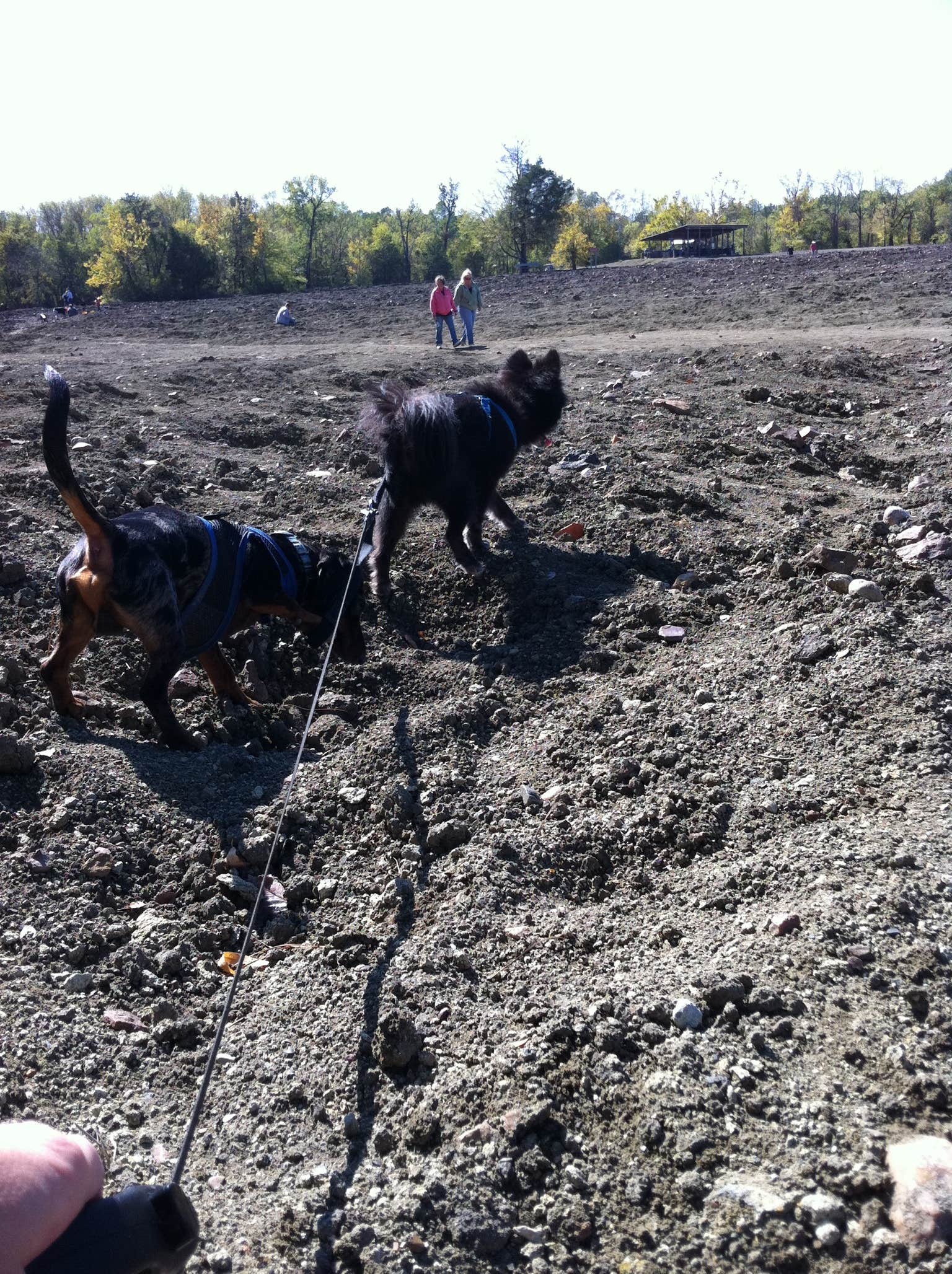 Shelly S.'s photo of camping with pets at Crater of Diamonds State Park Campground near Gillham, AR